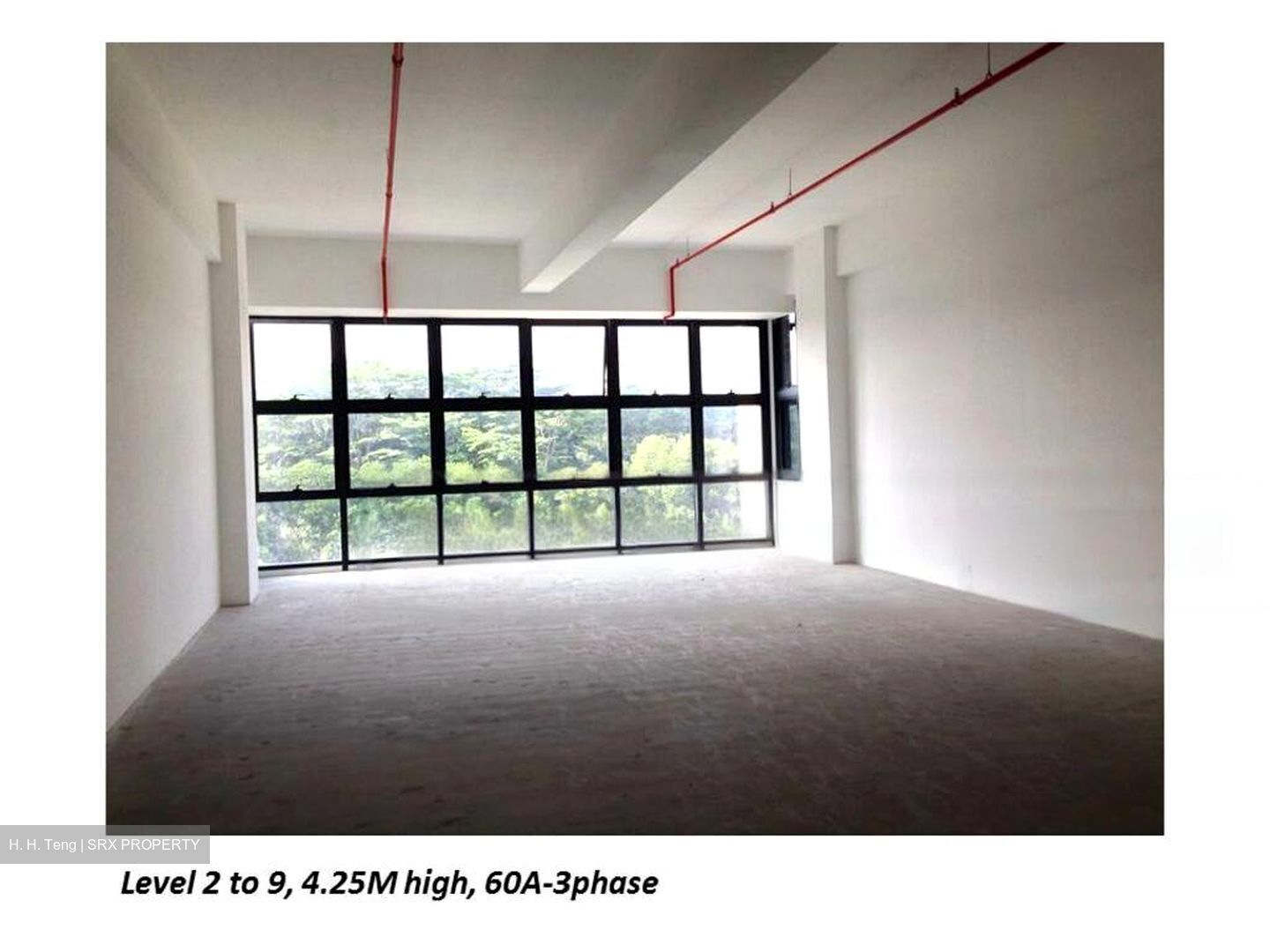 Primz Bizhub (D25), Factory #499492511